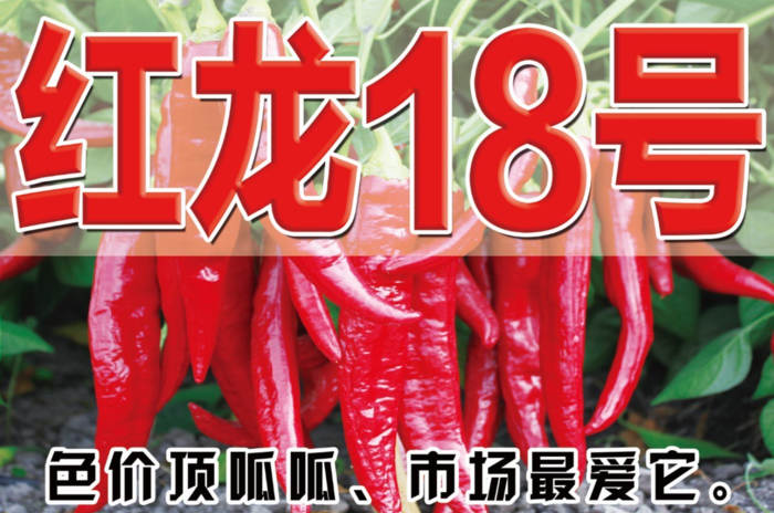 红龙18号
